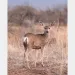 filename