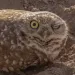 filename