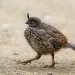 filename