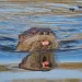 filename