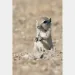 filename