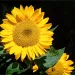 filename