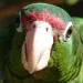 filename