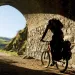 On the Otago Central Rail Trail in New Zealand.