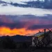 Moab Under Canvas, an ideal braincation spot for families.