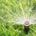 Hey Mr. Green, does my sprinkler replenish ground water?