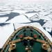 Turns out there's more life in Antarctica than we thought.