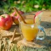 Beginner’s Guide to Home Brewing: Hard Cider