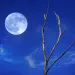 A Blue Moon (actual color varies) will occur at the end of July.