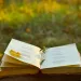  New literary revisionism might make the seer of Walden Pond more relevant to readers today.