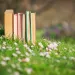 Take your relationship with plants, moss, and wildflowers to the next level.