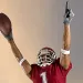 Pro football stadiums are going green