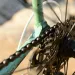 Green your bicycle with regular maintenance checks.