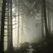 6 Haunted Hiking Trails -- Do You Dare?