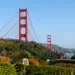 San Francisco city gardens.
