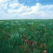 Near the Nebraska-Colorado border, an early-summer High Plains mosaic stretches to the sky. | Photo by Michael Forsberg