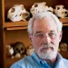 Chuck Schwartz in his office in Bozeman, Montana. The bear skulls in the background came from as far away as Russia and Africa. | Photo by Moe Witschard