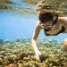 Snorkeler in Reef