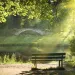 Park bench on a summer day