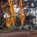 Rob Hill Campground