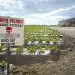 Warning signs bearing a skull and crossbones border the strawberry fields adjacent to the Rios family's home in Watsonville, California.