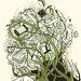 Do Green Schools Matter?