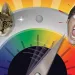 See that bushy-tailed rodent chattering in the tree outside your house? It could be preparing to take down the electric grid.