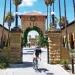 Stanford’s decision to divest its $18.7 billion endowment of coal stocks is a narrow response to the Fossil Free movement, but it carries a lot of clout.