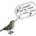 The Baird's sparrow, a favorite of U.S. birdwatchers, is being pushed out of North Dakota and Montana and into Canada  by climate change.