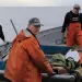To fish or to mine? Alaskans must decide the future of a wild beach with a long history.