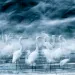 Egrets gather on a floodplain in Danube-Drava National Park, Hungary.