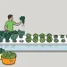 Inside a former brewery in St. Paul, Minnesota, a company called Urban Organics is perfecting a new model of aquaponic food production.