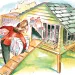 Backyard chicken coup