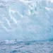 If not for surfing, I might never have become an environmentalist. The rush of spearing through a backlit breaking wave--the blue-green curl, the bracing cold, the salty smell and taste of it--connects me to the natural world in a way that no walk through
