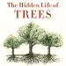 The Hidden Life of Trees by Peter Wohlleben