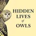 The Hidden Lives of Owls
