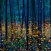 A thousand points of light: Photographer Kei Nomiyama captures fireflies at dusk. 