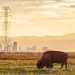 Our National Wildlife and People Refuges