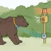 Gizmos and gadgets to help wildlife coexist with their human neighbors