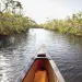 Canoe in mangroves, Everglades National Park