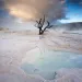 Yellowstone, Mammoth Hot Springs near Canary Spring