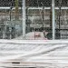 CAFO farming is an environmental and public health disaster