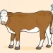 "Cellular agriculture" is on its way to producing consumable meat products from a lab.