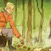 Mushroom collector makes a tiny mistake, almost needs a new liver