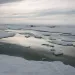 Thawing sea ice has formed meltwater pools off of Kaktovik, Alaska, in July. Arctic National Wildlife Refuge
