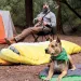 Sleeping bags, pads, and blankets to suit adventurers, kids, dogs, and more