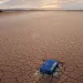 The Colorado River Delta in Mexico in 2009. An orange crate that floated in is now almost buried on its side in the parched, cracked earth.