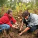 Students in the Local Flora class at Green Mountain College plant an American elm as part of the college’s riverine floodplain forest restoration work on campus, in the buffer zone along Vermont’s Poultney River. 