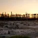 A wildfire-burned residential area seen at sunset in Fort McMurray Alberta, on June 28, 2016.