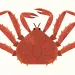 King Crab